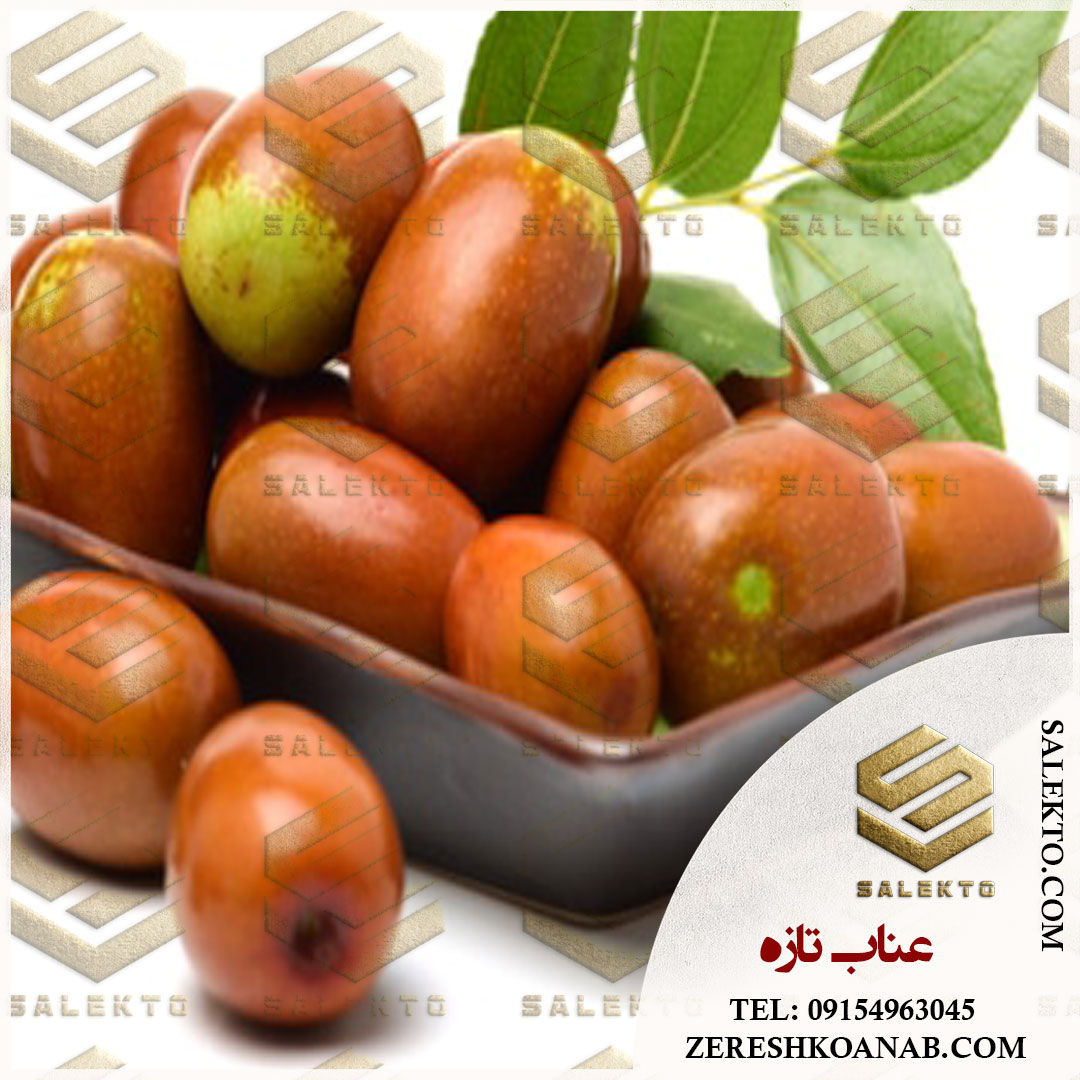 تصویر 3 از خرید عمده عناب تازه خراسان جنوبی + قیمت استثنا