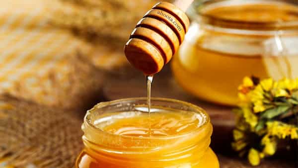 تصویر 2 از خرید نقدی عسل زرد + تخفیف ویژه