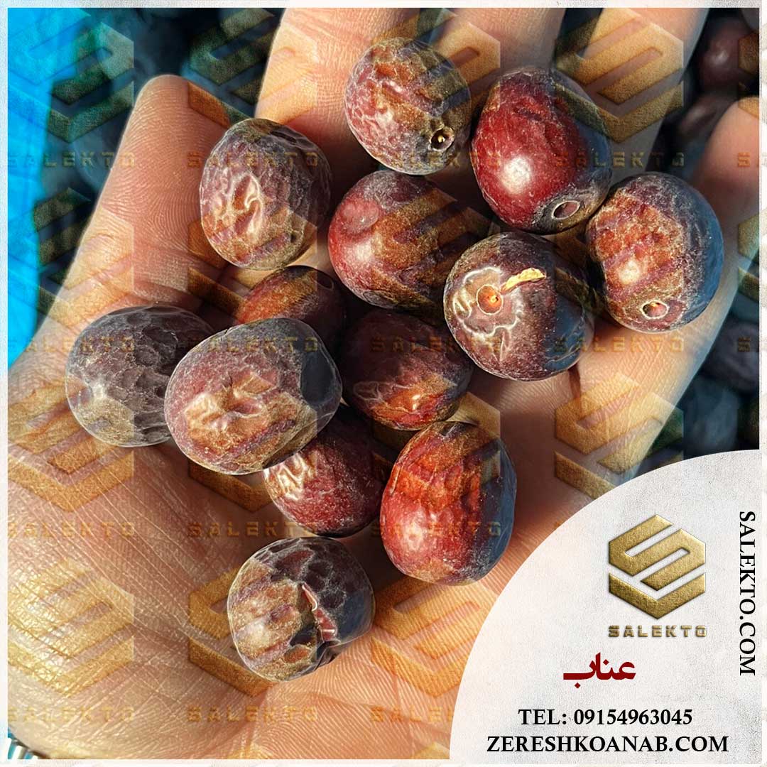 تصویر 1 از خرید عمده عناب تازه و خشک بیرجند + قیمت استثنائی