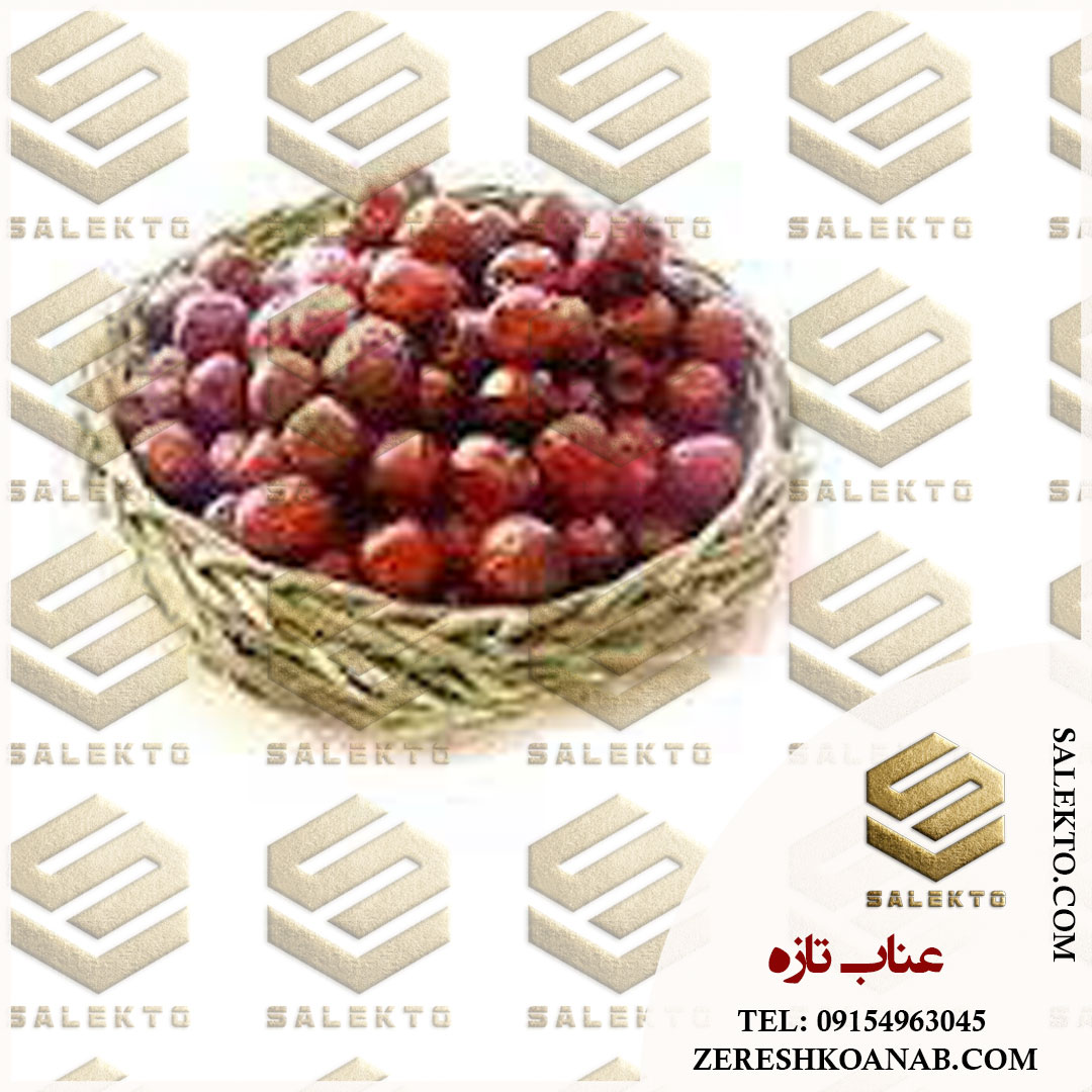 تصویر 4 از خرید عمده عناب تازه و خشک بیرجند + قیمت استثنائی