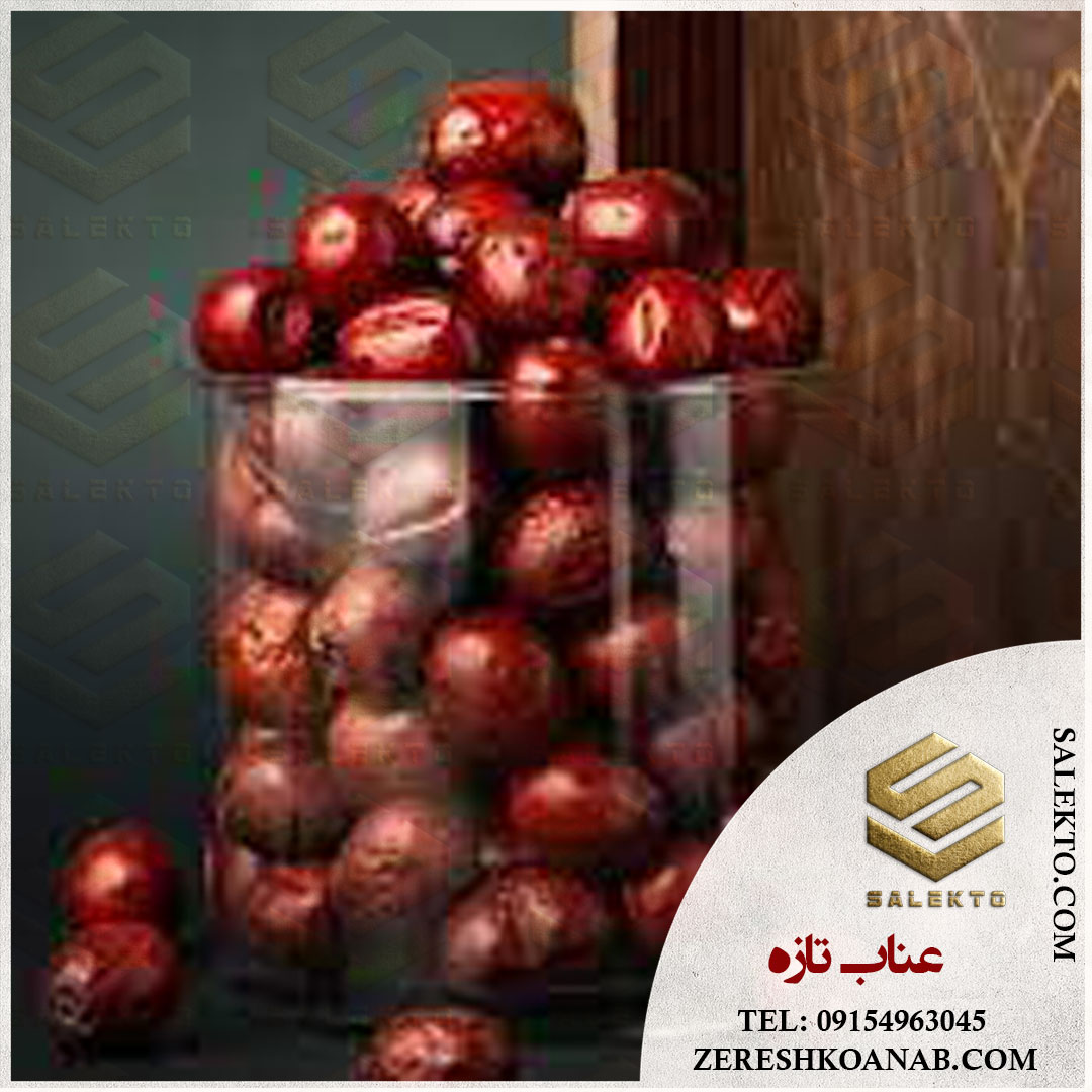 تصویر 5 از خرید عمده عناب تازه و خشک بیرجند + قیمت استثنائی