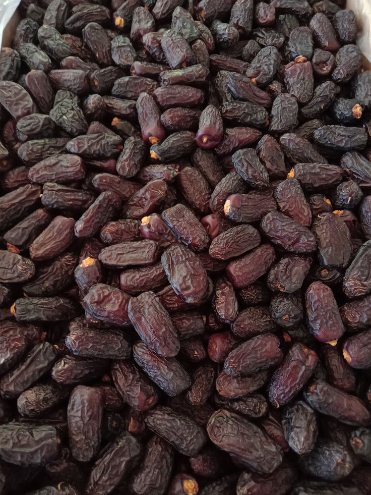 تصویر 2 از خرید خرما پیارم در مشهد + شرایط فوق العاده