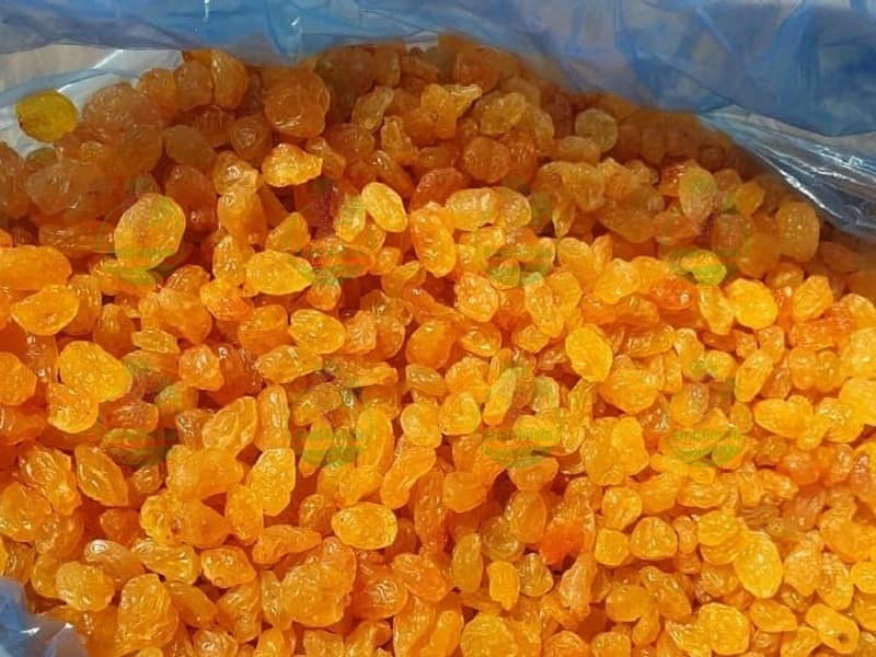 تصویر 4 از قیمت روز کشمش انگوری ملکان + فروش صادراتی