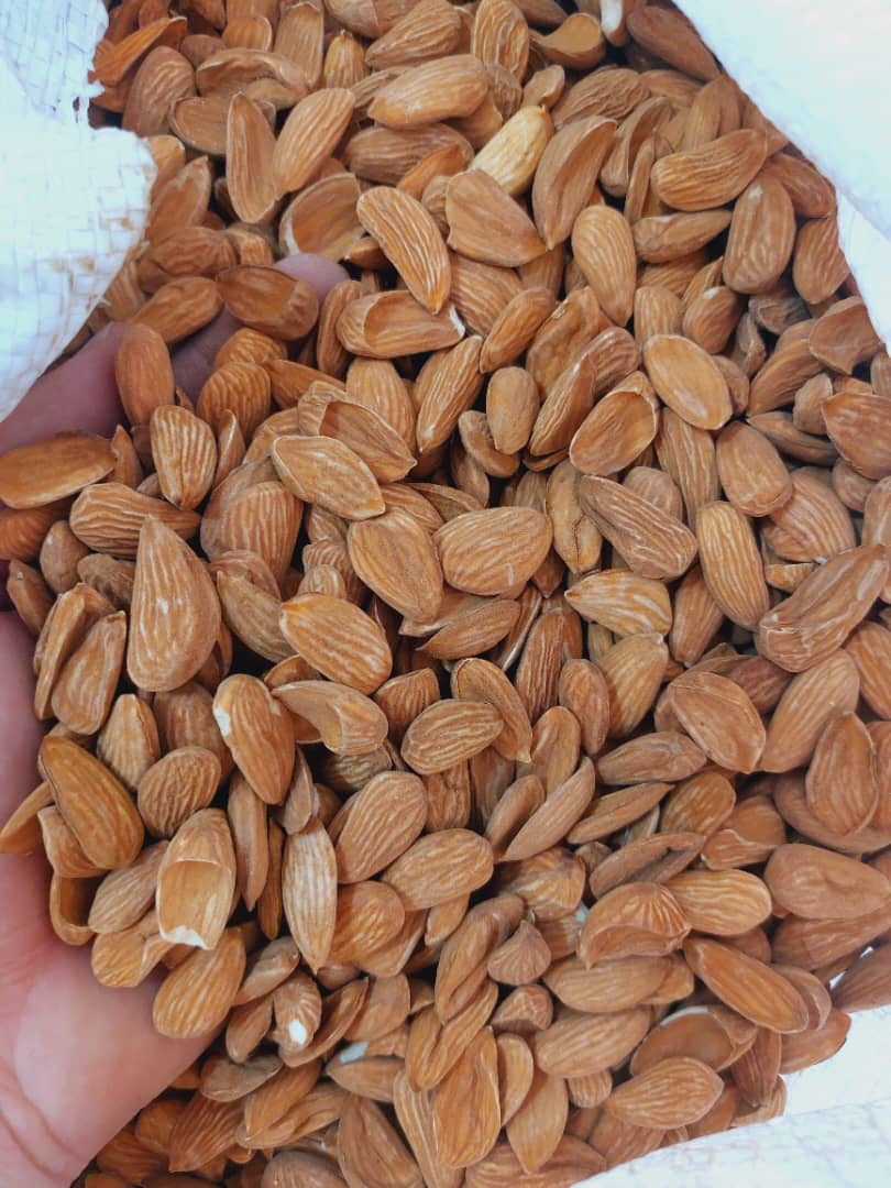 تصویر 3 از خرید مغز بادام مامایی گرید a3 + مشاوره رایگان