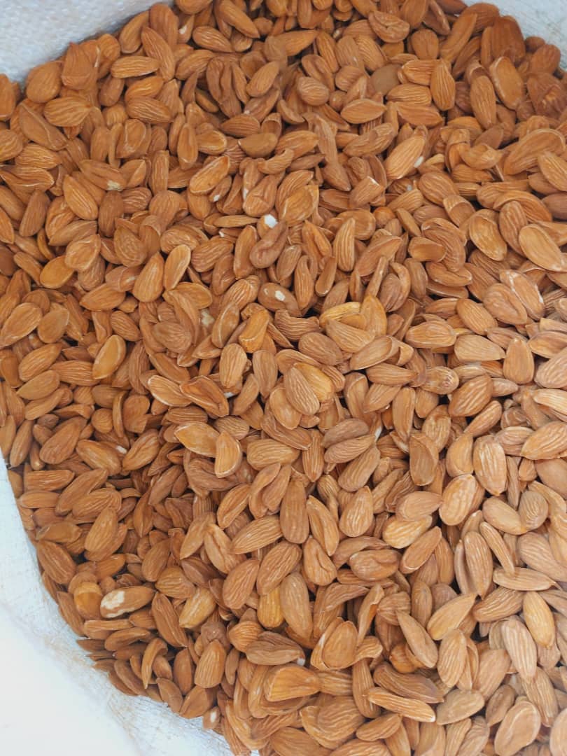 تصویر 2 از خرید مغز بادام مامایی گرید a3 + مشاوره رایگان