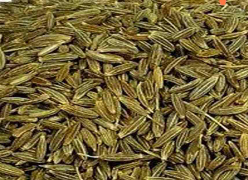 آسان ترین خرید و ارسال زیره سبز صادراتی