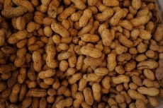 بادام مرغوب آستانه