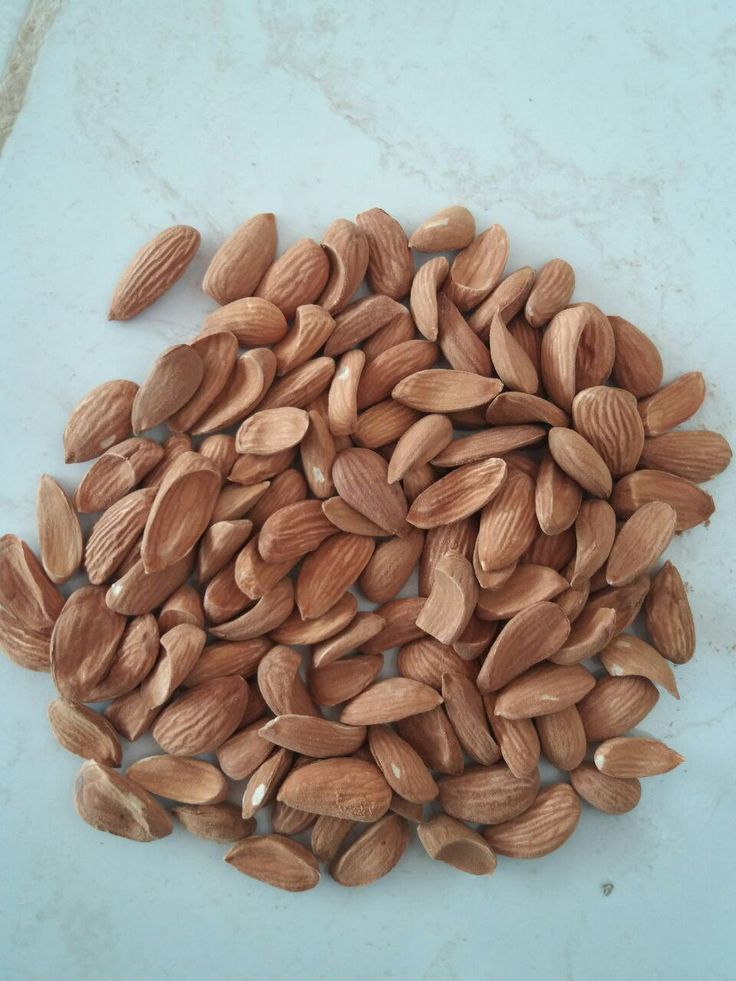 تصویر 2 از قیمت خرید بادام مامایی مینی در بازار امروز + عمده فروشی
