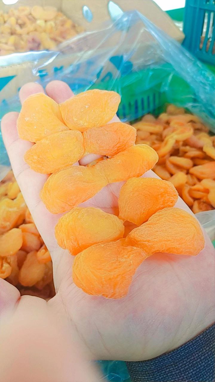 تصویر 1 از فروش برگه زردآلو و قیسی + قیمت خرید برگه