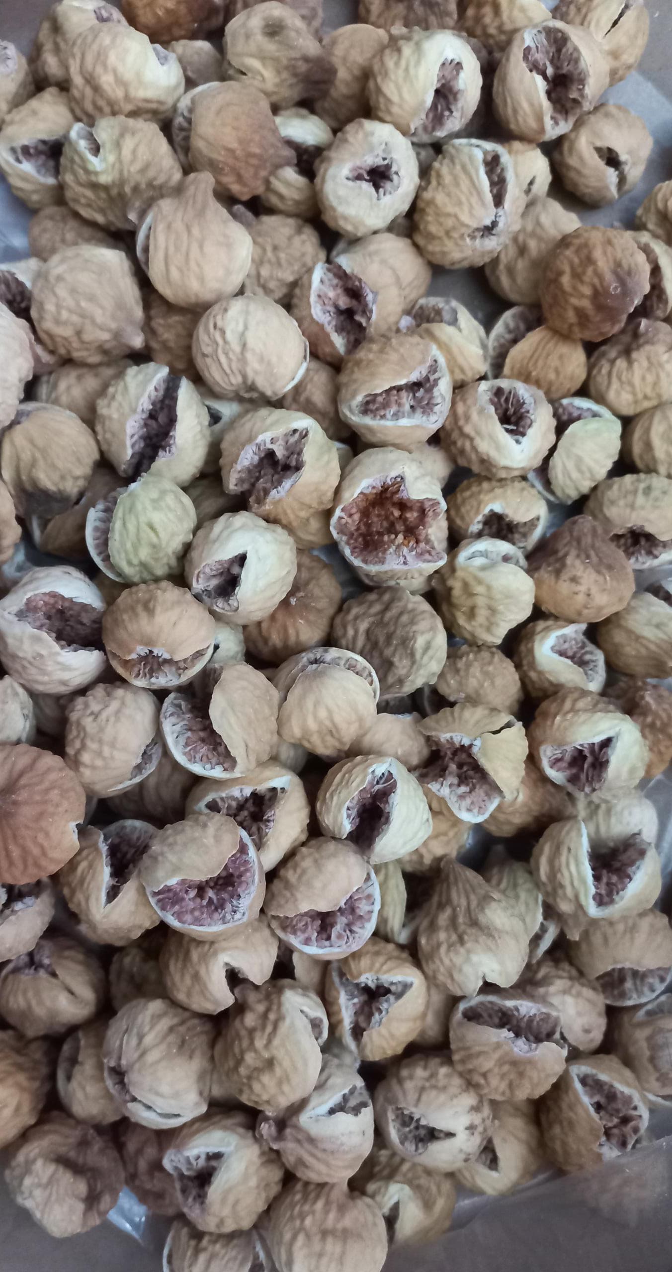 انجیر خشک استهبان صد یک AA + خرید عمده