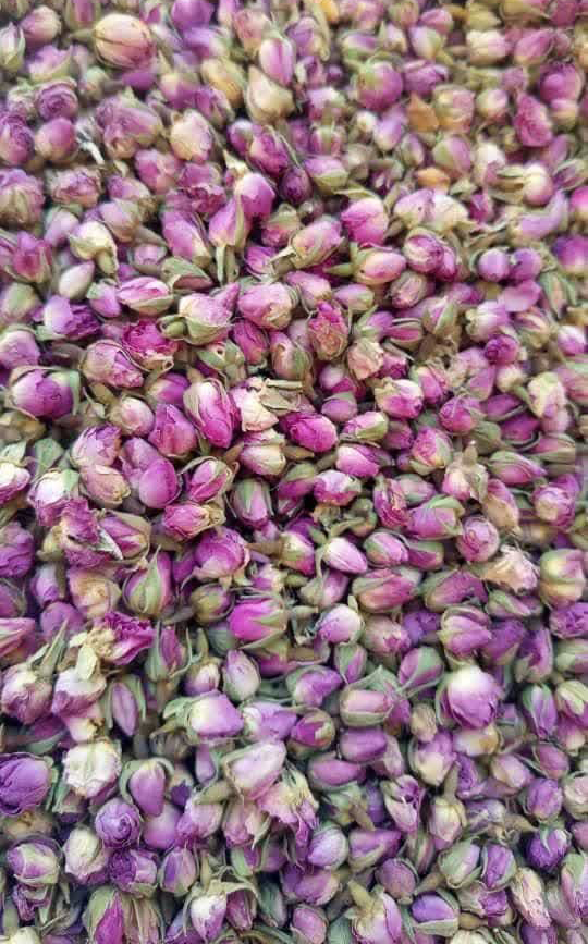 تصویر 1 از فروش ویژه غنچه گل محمدی رقم داراب شیراز