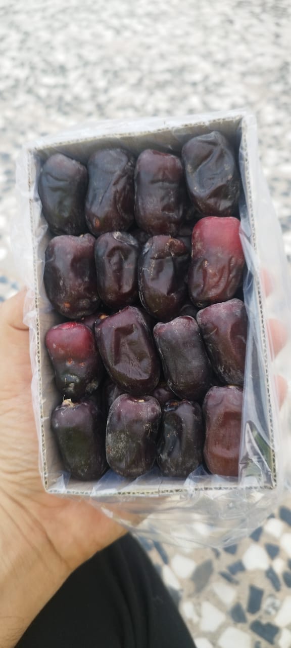 تصویر 1 از خرید خرما مضافتی بم کرمان
