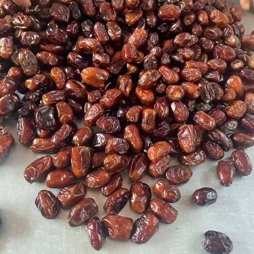 تصویر 1 از فروش عمده خرما خنیزی امسال + خرید دسته اول