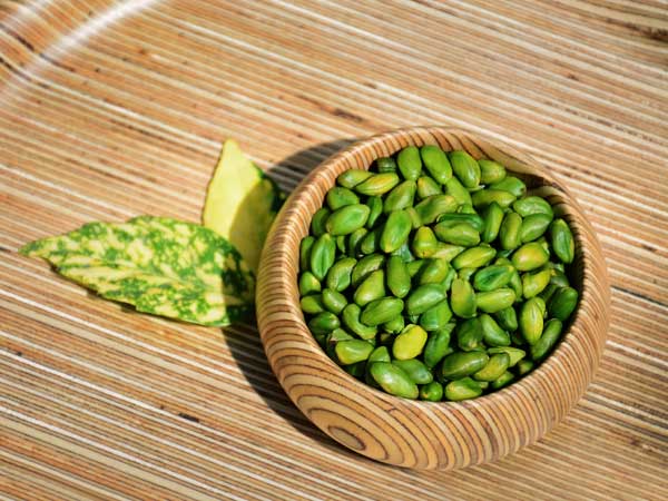 قیمت مغز پسته دو پوست + خرید و فروش
