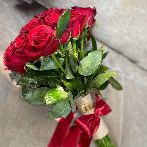 تصویر 1 از قیمت ارزان عمده گل شاخه‌ بریده رز قرمز هلندی اصفهان
