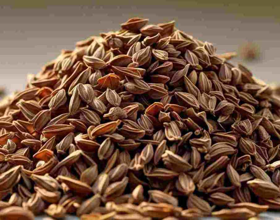 فروش ویژه زیره سبز صادراتی ارسال سریع