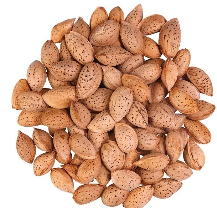 تصویر 1 از قیمت مغز بادام درختی پوست سنگی + فروش عمده