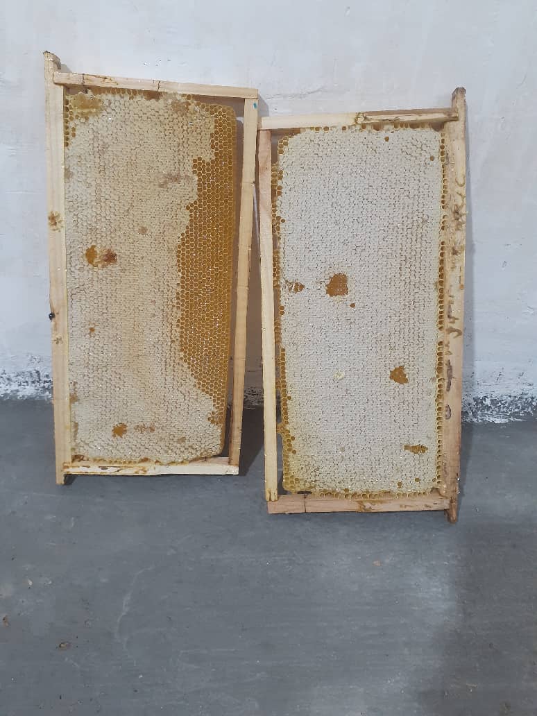 تصویر 1 از عسل ارگانیک قنقال درمانی درجه‌ یک لرستان