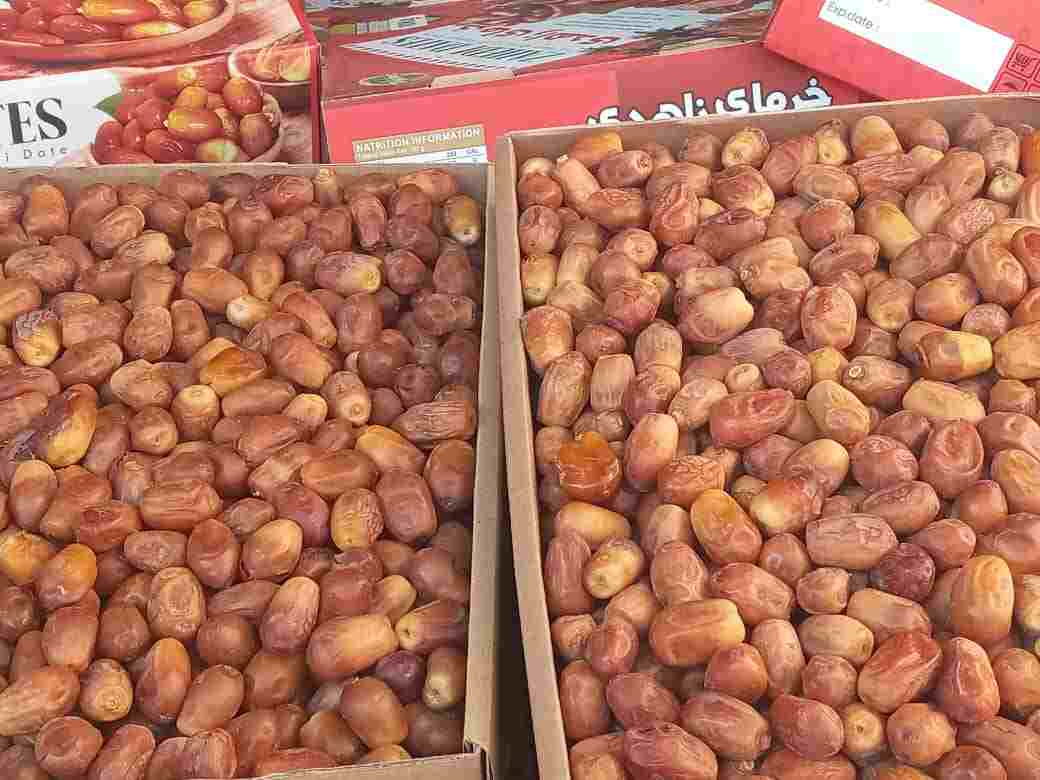 تصویر 3 از فروش عمده خرما زاهدی بوشهر؛ خرید با صرفه