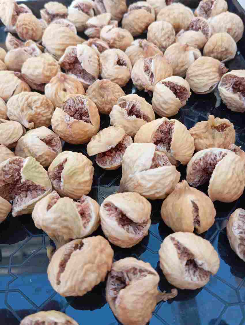 فروش انجیر خشک عمده در استهبان