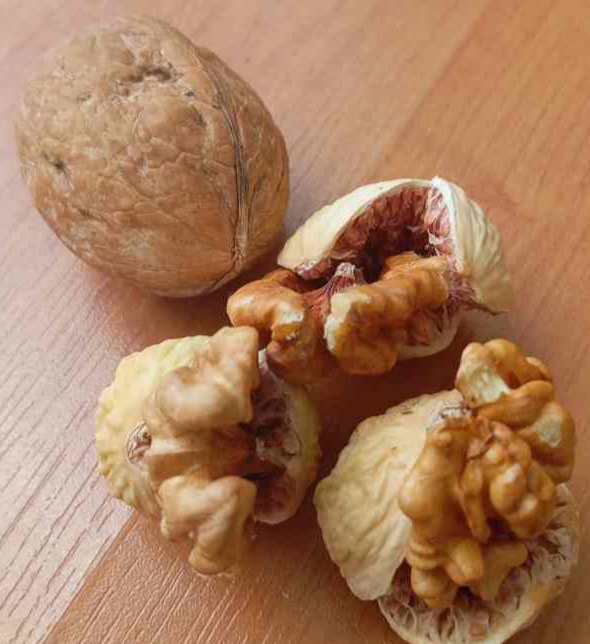 تصویر 1 از فروش انجیر خشک فله خرمنی