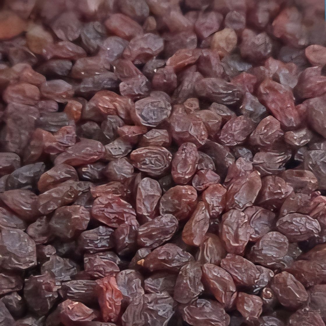 تصویر 1 از فروش کشمش آفتابی مرغوب