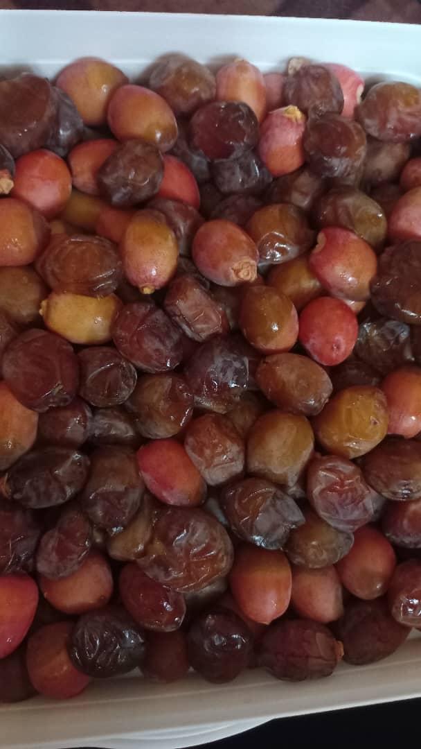 خرید خرما خاصویی داراب + قیمت به ویژه