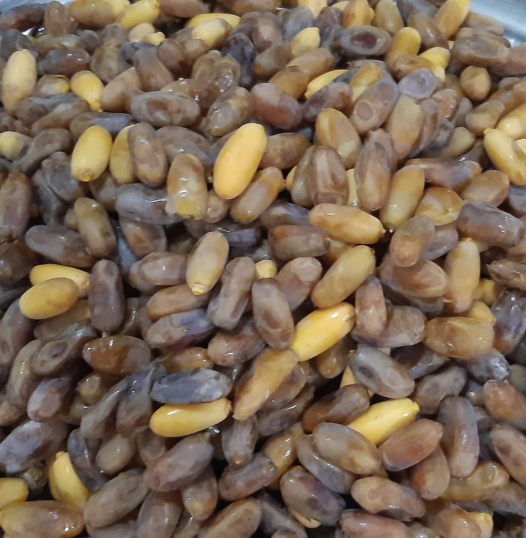خرید خرما رطب شاهانی + قیمت فوق العاده