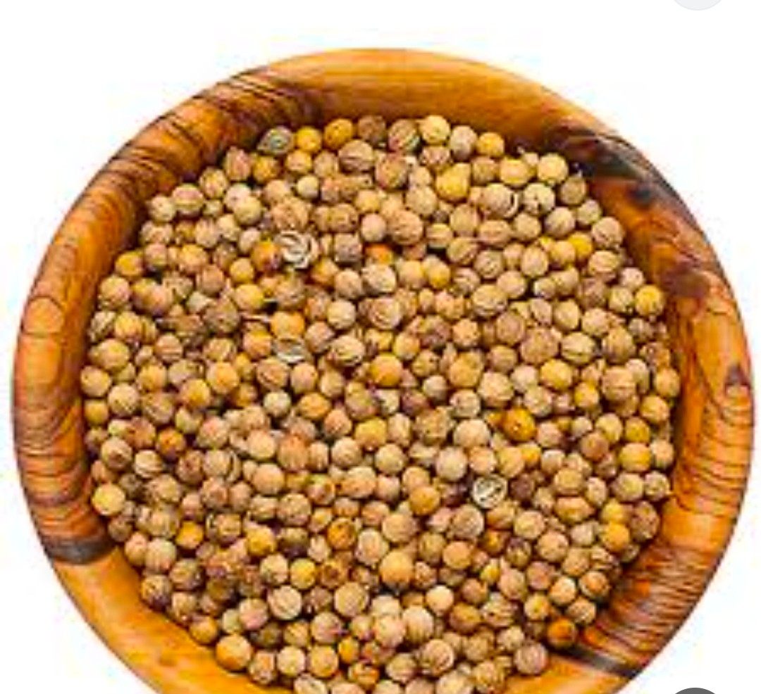 تصویر 1 از فروش بذر گشنیز آناهیتا نماد کیفیت و طعم ماندگار