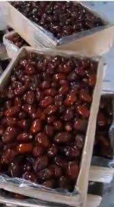 تصویر 5 از خرما کبکاب دشتستان فروش عمده وبه صرفه