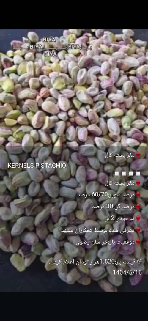 تصویر 4 از پسته اکبری درجه یک