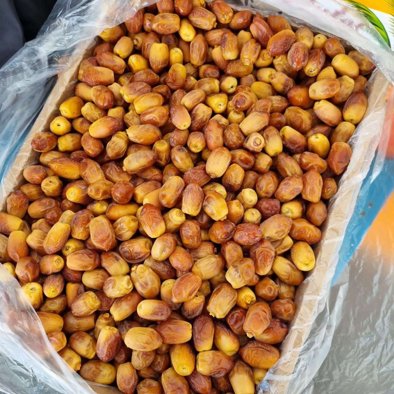 تصویر 1 از قیمت عمده خرما زاهدی صادراتی + خرید باور نکردنی
