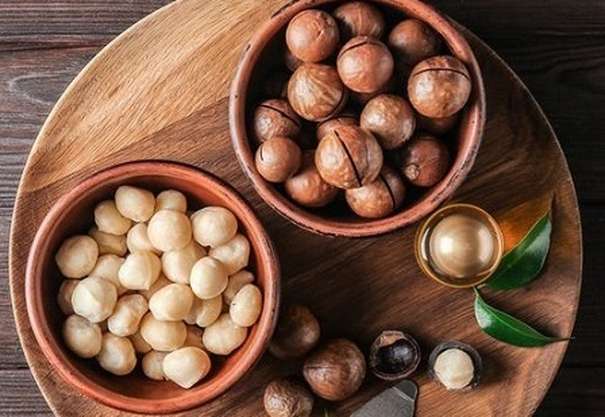تصویر 5 از قیمت نهال فندق ماکادمیا اصلاح شده + ارسال به سراسر کشور