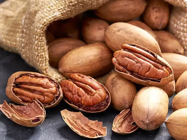 تصویر 1 از خرید نهال گردو پکان آمریکایی + نهال گردو پکان پیوندی