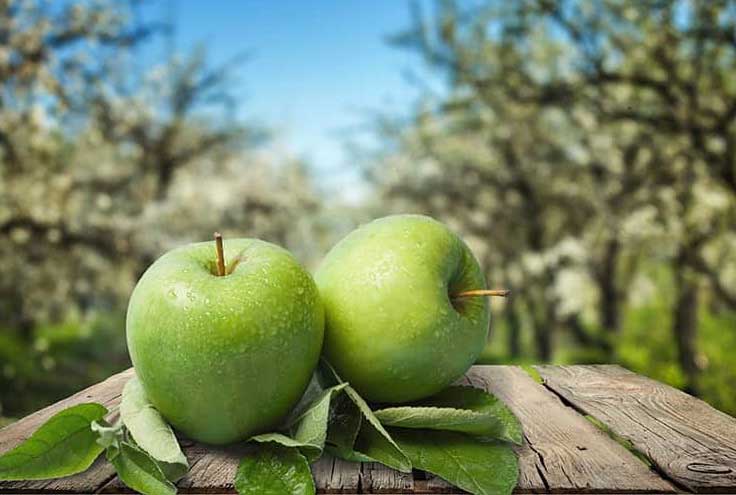 تصویر 1 از قیمت خرید سیب سبز گرن اسمیت