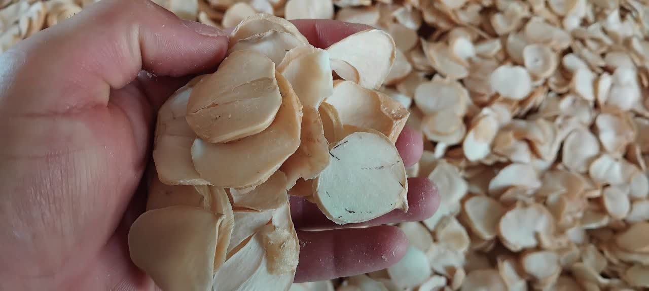 موسیر خشک کوثر