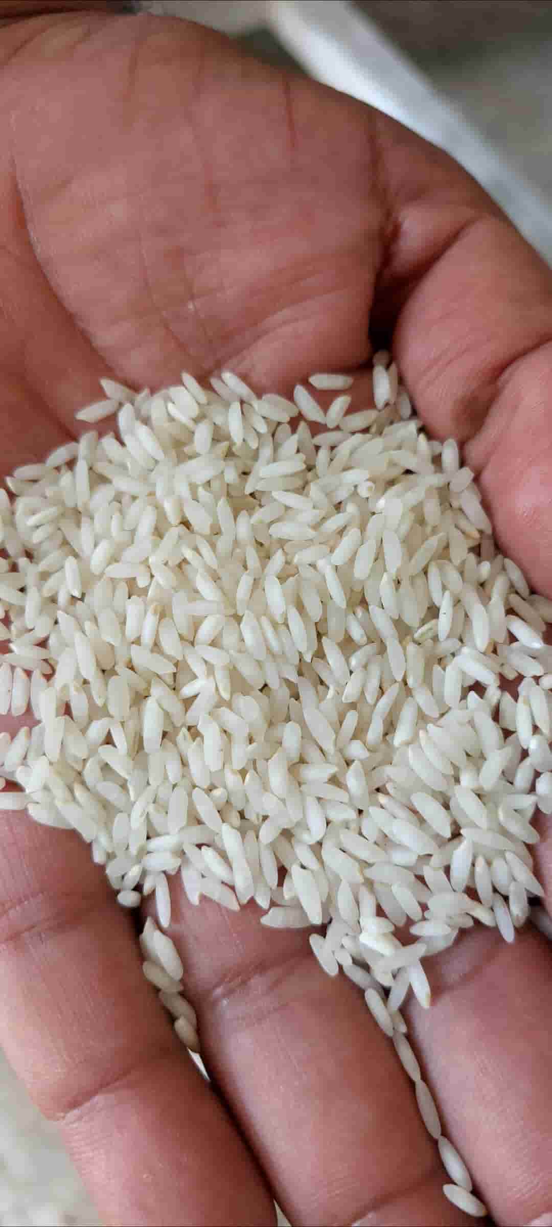 تصویر 2 از خرید برنج هندی ۱۱۲۱ متمایز باسماتی