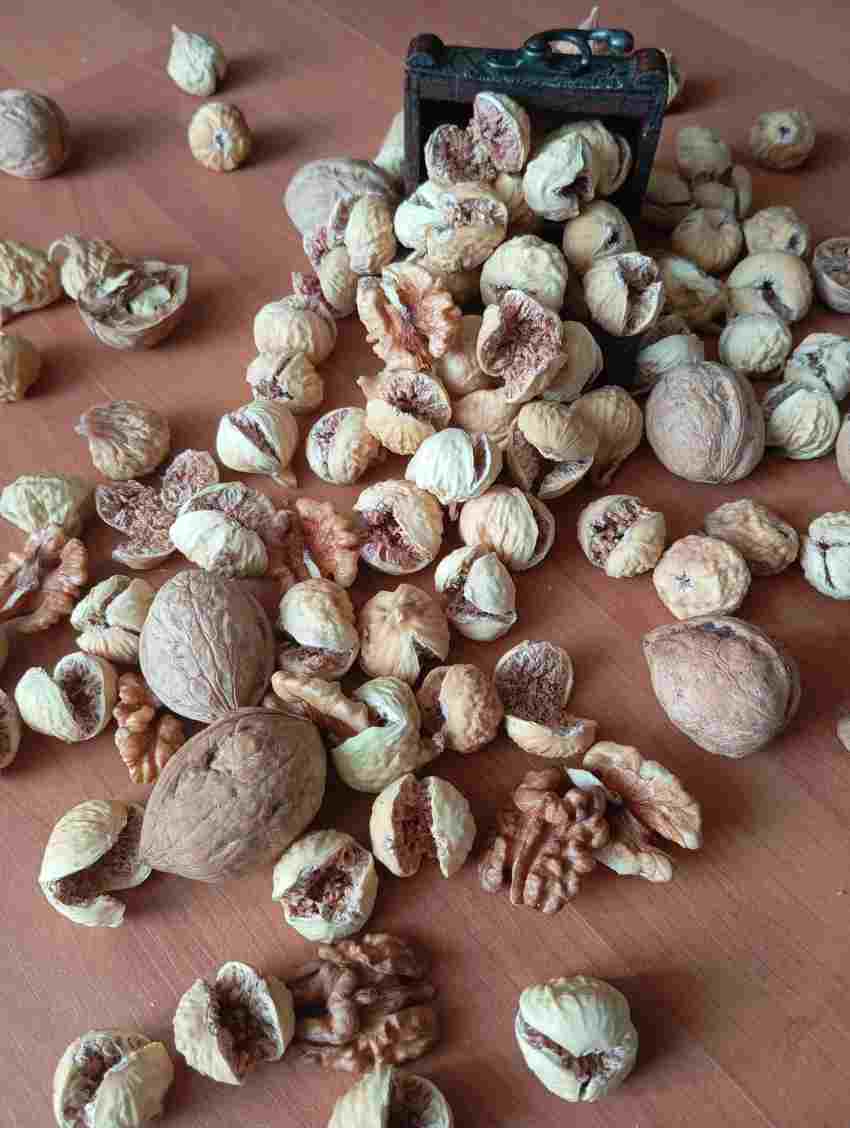 تصویر 3 از انجیر خشک شکم پر + به صرفه و اقتصادی