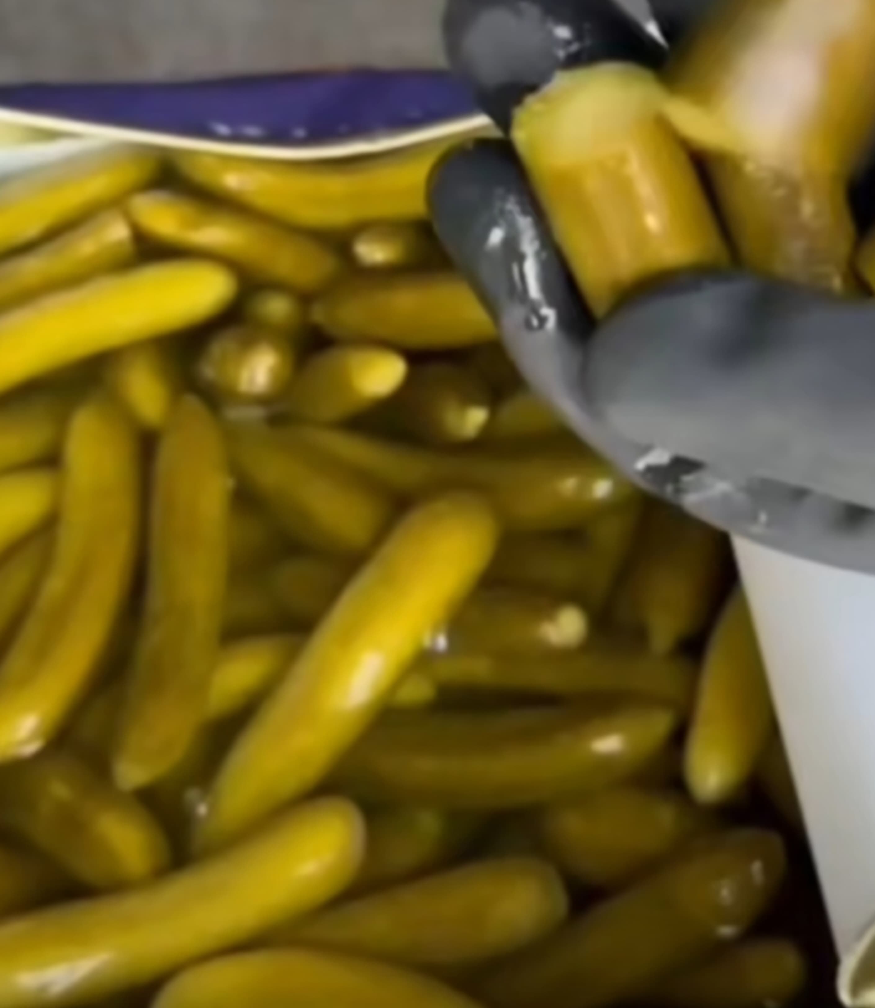 نرخ روز خیارشور دلپذیر + خرید مطمئن