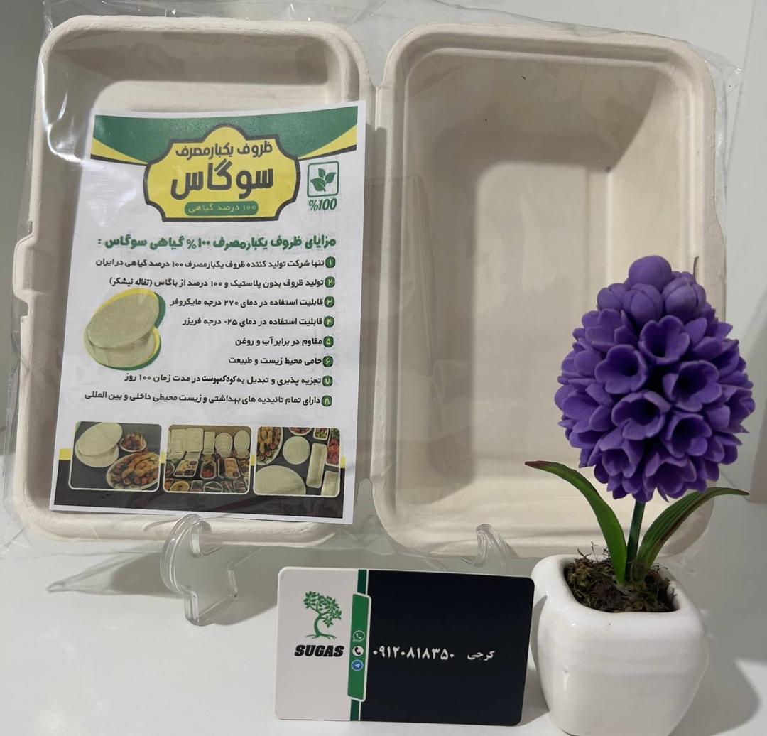 تصویر 1 از خرید عمده ظرف تک پرس گیاهی + قیمت ارزان