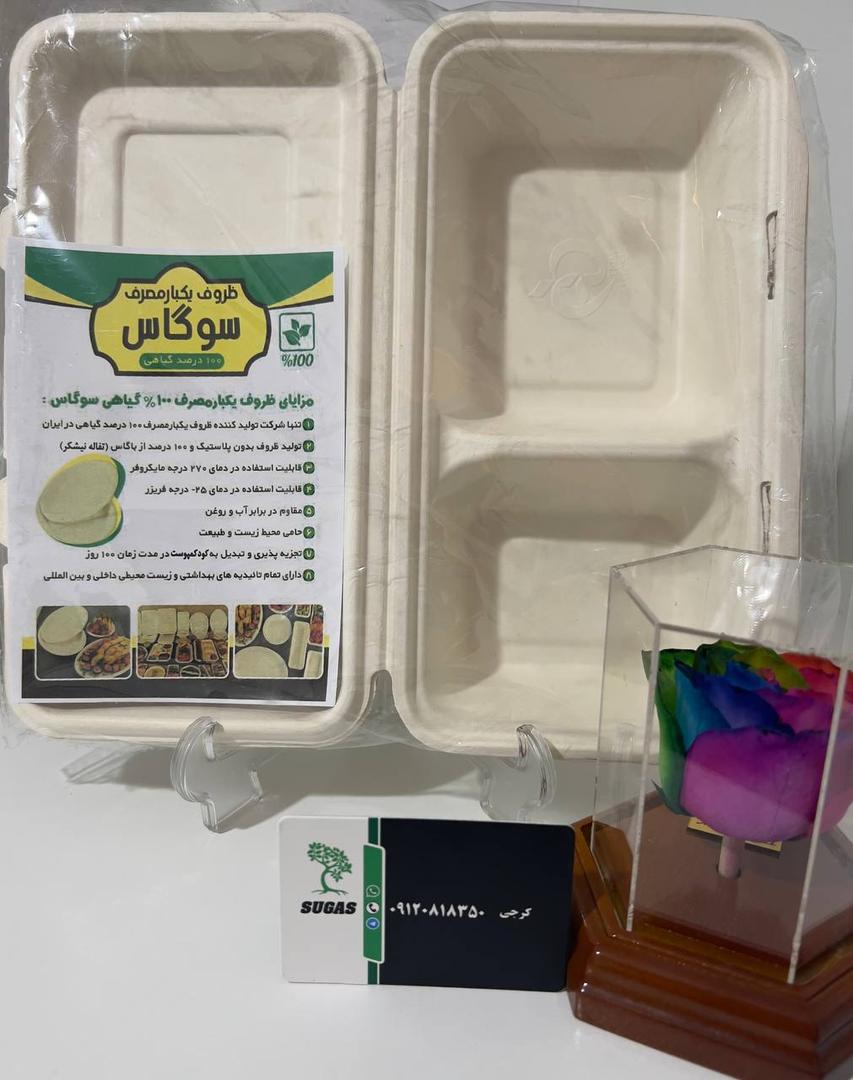 تصویر 2 از فروش ویژه ظرف دو پرس گیاهی + عمده