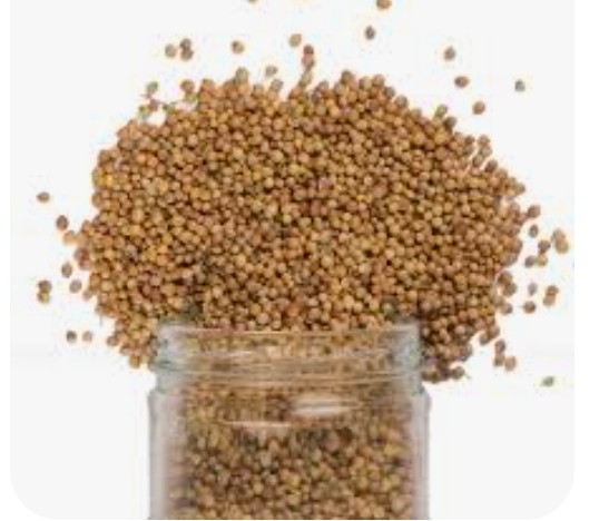 تصویر 1 از تخم گشنیز مروارید کوچک ما + فروش عمده