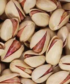خرید عمده پسته اکبری + با کیفیت عالی