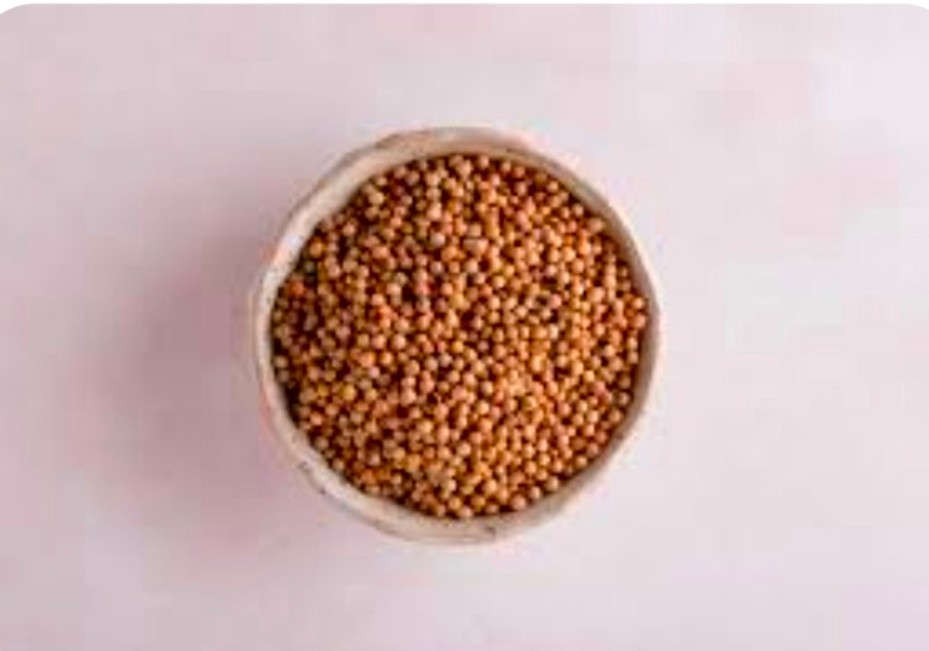 تصویر 2 از خرید دانه گشنیز + افزودنی محبوب ترشی