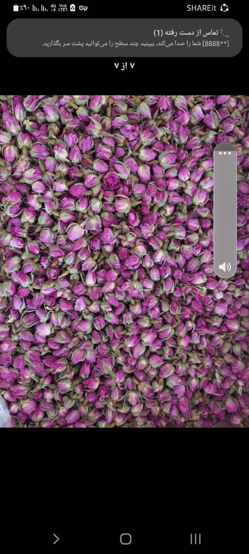 تصویر 1 از خرید با کمترین قیمت بازار غنچه گل محمدی
