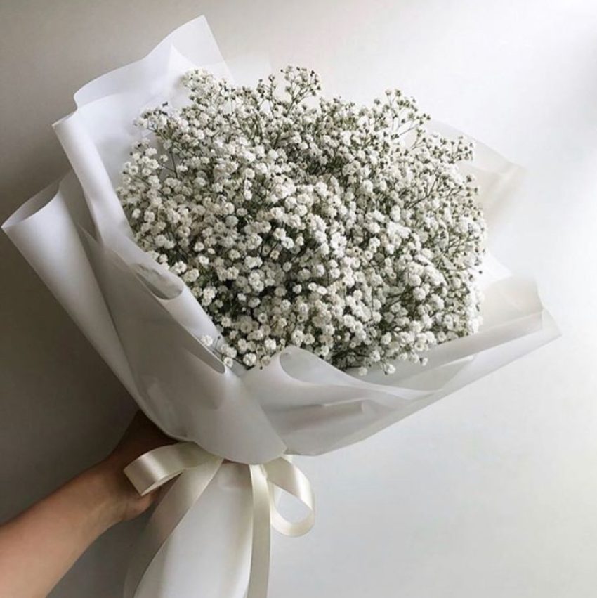 تصویر 1 از فروش باور نکردنی گل شاخه بریده ژیپسوفیلا اصفهان
