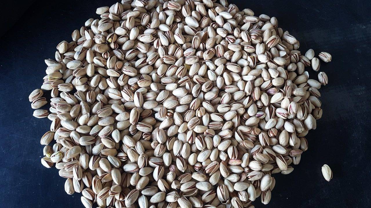 تصویر 2 از خرید پسته بادامی + بهترین قیمت