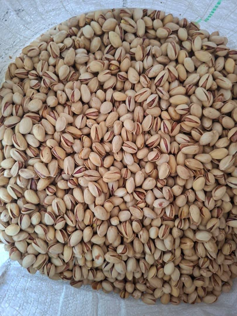 تصویر 1 از خرید پسته بادامی + بهترین قیمت