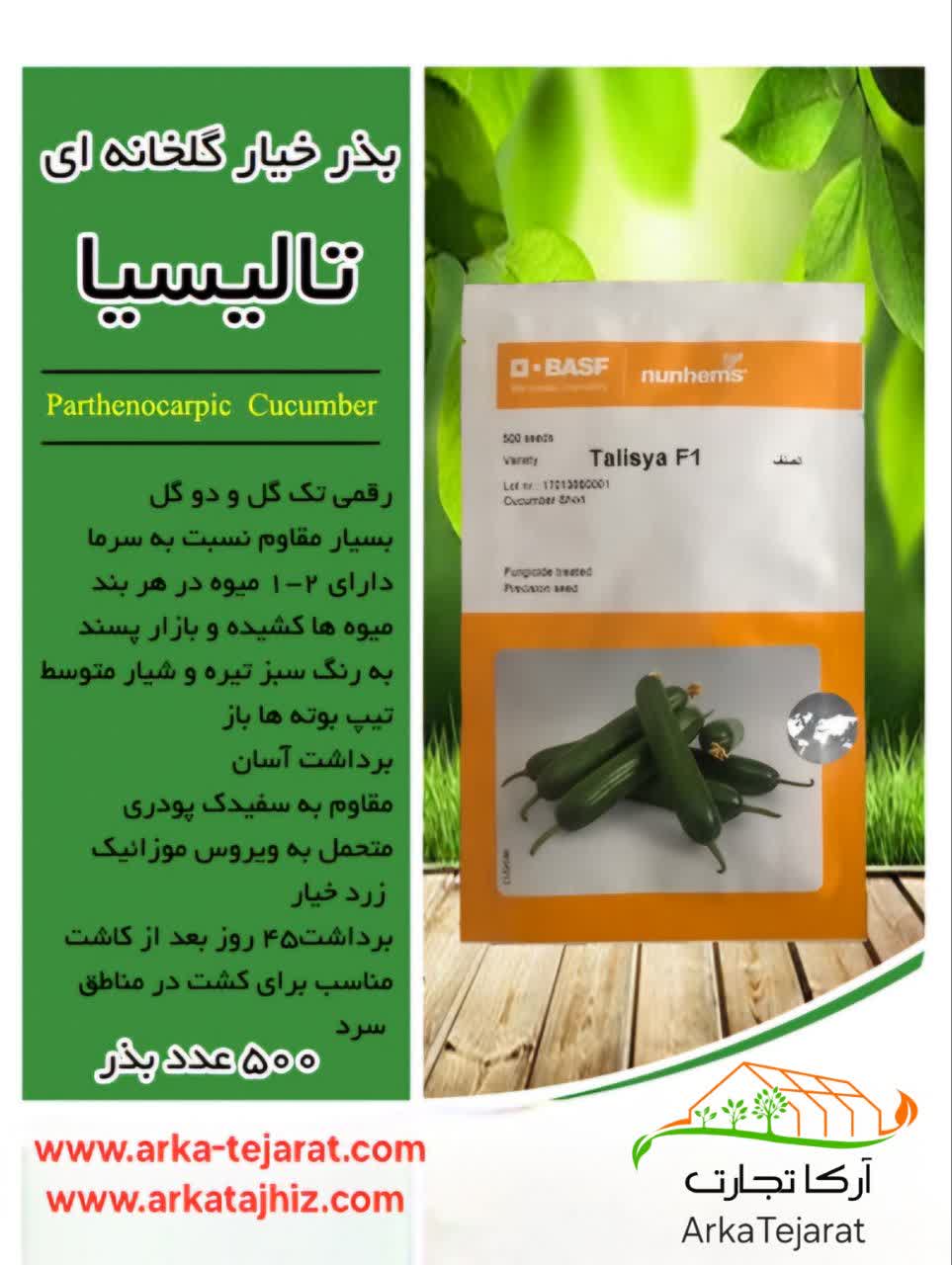 تصویر 4 از خرید انواع بذر خیار گلخانه ای بدون واسطه با بهترین قیمت عمده