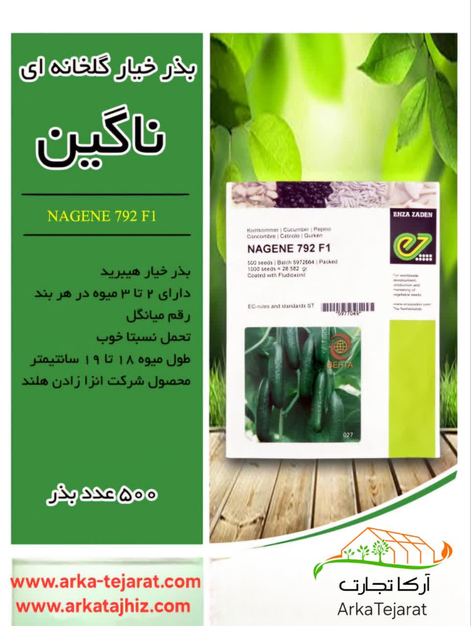 تصویر 1 از خرید انواع بذر خیار گلخانه ای بدون واسطه با بهترین قیمت عمده